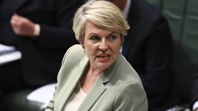 Minister for Environment and Water Tanya Plibersek.