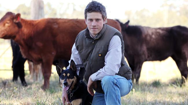 Cattle farmer Daniel Miller, 19, is calling for stronger labelling laws on meat. Picture: David Swift