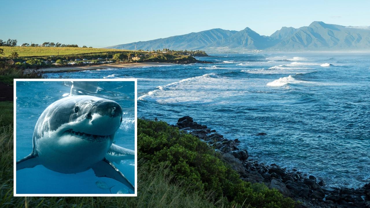 Maui, Hawaii shark attack: Man killed while surfing Paia Bay | NT News