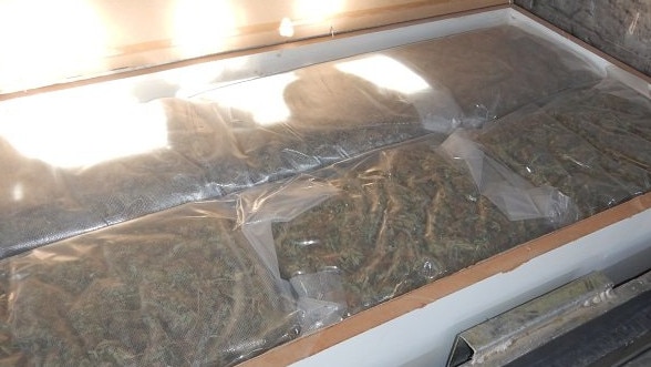 Some of the cannabis seized in the multi-million dollar drug bust. Picture: AFP