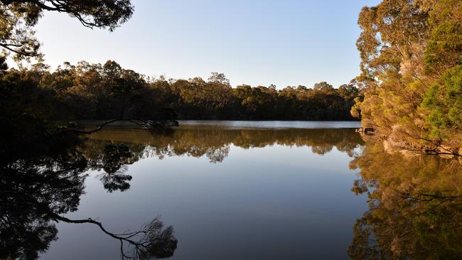 Sunrise at Blackburn Lake Sanctuary. Picture: Andrew Batsch