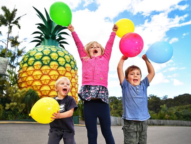 The Big pineapple celebrates 50 years! Looking forward to the big day is Seth, 3, Anouk, 7, and Zachary, 4, Smith.
