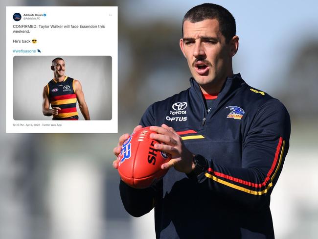 A tweet has landed the Crows in hot water. Photo: Twitter and Getty Images