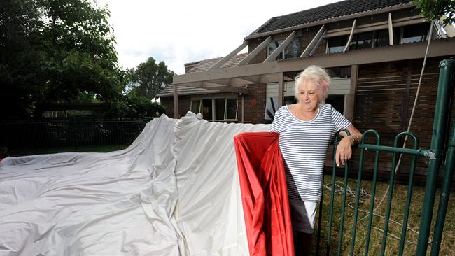 Christine Taylor with the balloon in her backyard. Picture: Andrew Henshaw