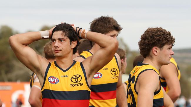 Shane McAdam is sticking with the Crows despite his tough initiation into the AFL at the club. Picture: Sarah Reed/AFL Photos via Getty Images