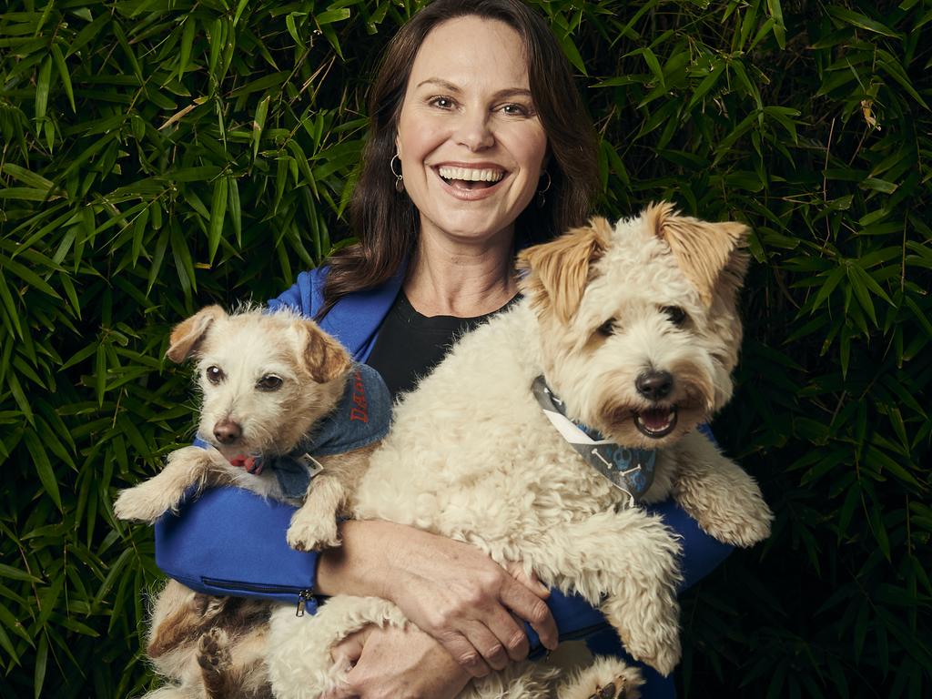 Channel 10 pet behaviourist and dog trainer Lara Shannon with Darcy (l) and Vindi. Picture: Eugene Hyland