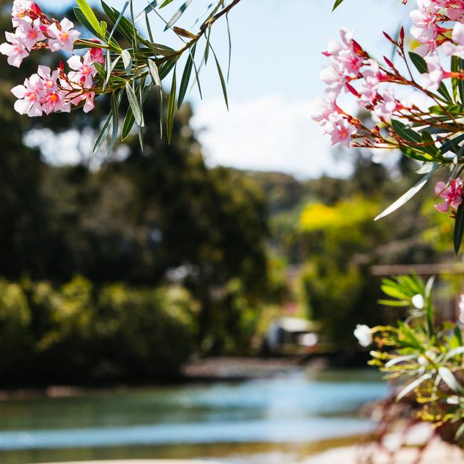 It’s very pretty along the creek. Picture: Gold Coast City Council