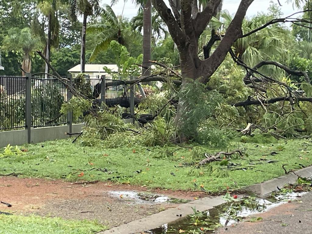 Tropical Cyclone Kirrily 2024 Photos of the morning after storm tore