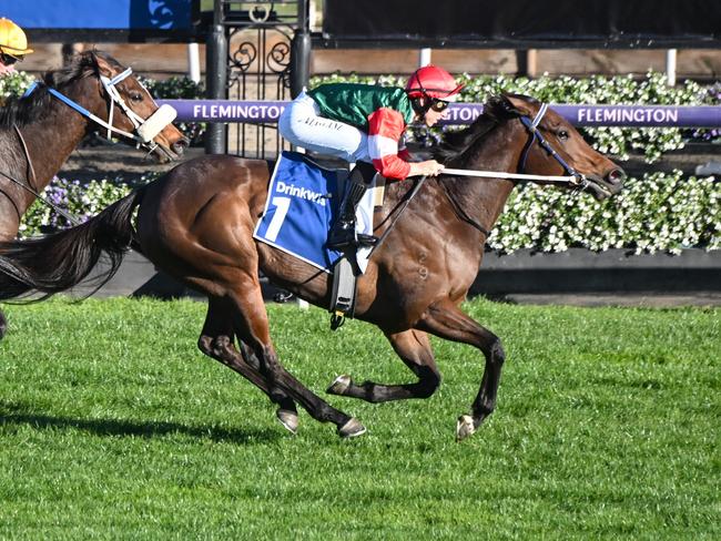 Amelia's Jewel ridden by Damian Lane wins the Furphy Let's Elope Stakes at Flemington Racecourse on September 16, 2023 in Flemington, Australia. (Photo by George Sal/Racing Photos via Getty Images)