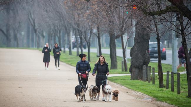 Victoria recorded its lowest daily increase in case numbers since mid-July on Friday. Picture: Paul Jeffers.