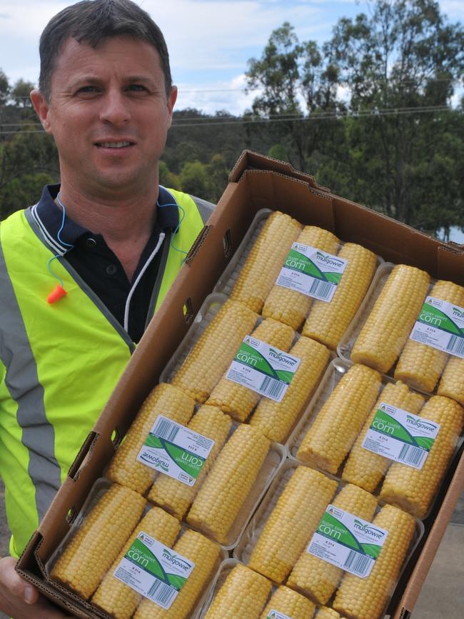 Fabian Carniel shows some of the corn grown under the Mulgowie brand.