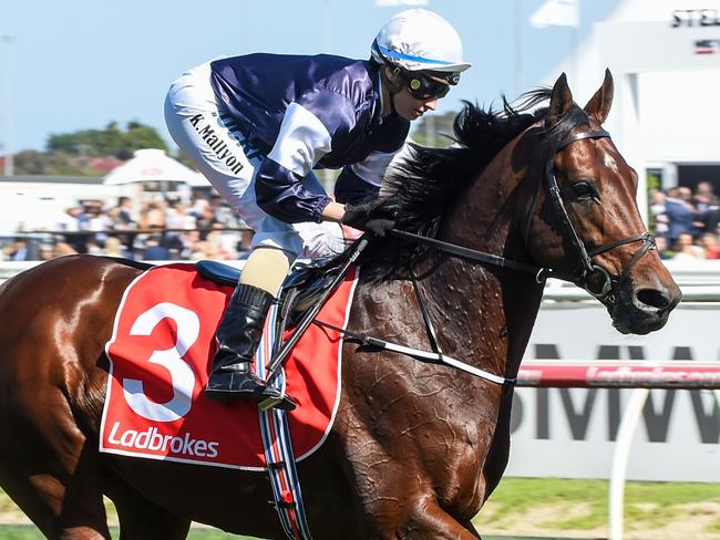 Johannes Vermeer (IRE) ridden by Katelyn Mallyon heads to the barrier before the Ladbrokes Stakes at Caulfield Racecourse on October 14, 2017 in Caulfield, Australia. (Brett Holburt/Racing Photos via Getty Images)