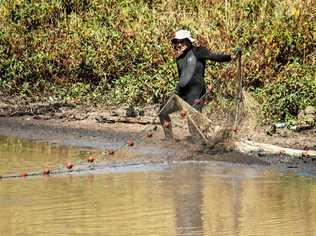 Staff from Red Leaf Environmental drag what remains of Lake Apex to rescue the turtles. Picture: ALI KUCHEL