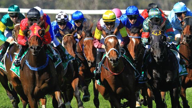 Racing in New South Wales on Thursday is at Gosford and Queanbeyan.
