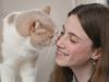 The purrr-fect companion crowned as Advertiser’s cutest cat of 2024