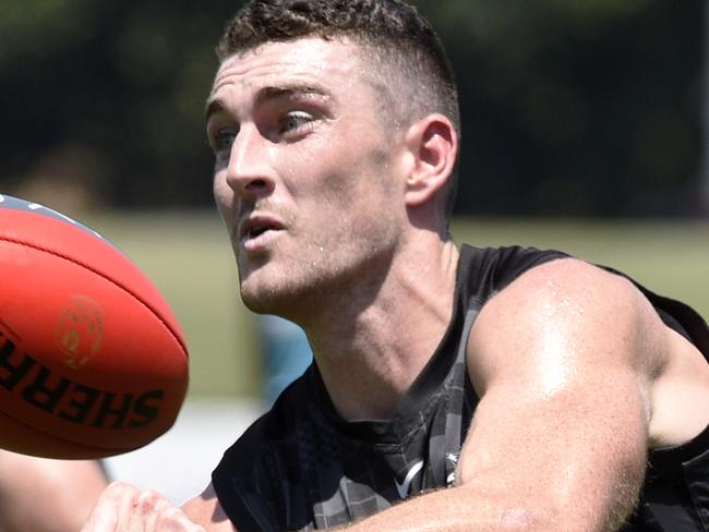 Daniel McStay at Collingwood training. Picture: Andrew Henshaw