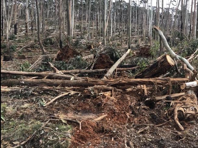 Storm debris poses a summer risk