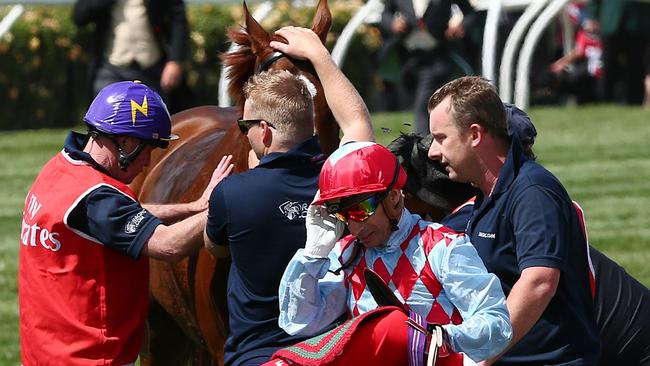 Melbourne Cup Day Races at Flemington Racecourse. November 3, 2015. Melbourne, Australia. MelbourneCup15 , Race 7. Melbourne Cup over 3200 metres. Jockey Gerald Mosse walks away as a screen gets put around No 9 Red Cadeaux just before the finish line, Picture: George Salpigtidis