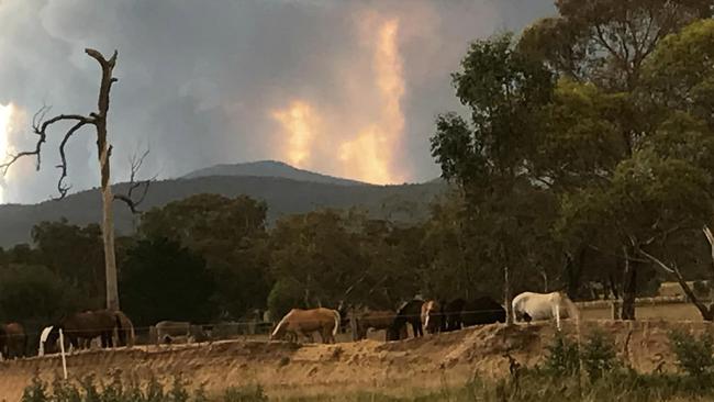 An out of control bushfire at Briagolong. Picture: Facebook / Jillian Baade