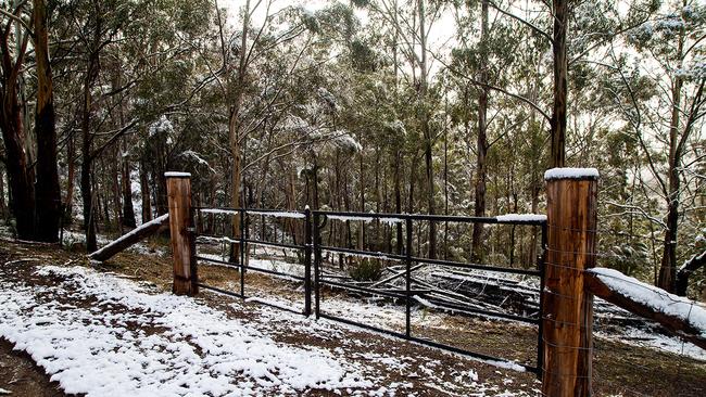 A property gate on the way to Uxbridge covered in ice. Photo Megan Jackson DVG Snow Hobart