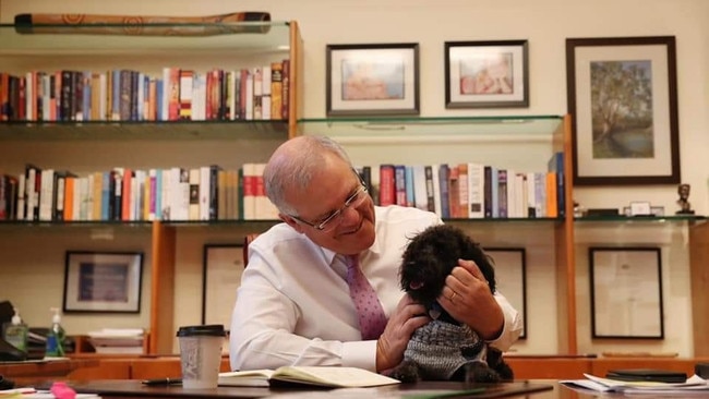 Scott Morrison and his dog Buddy at work last year.