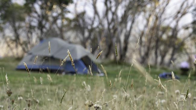 Camping in tent in the bush generic istock