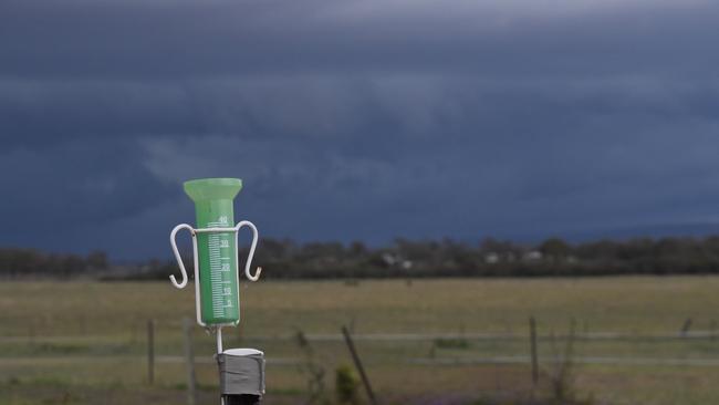 DOWNPOUR: Rain gauges across the Southern Downs and Granite Belt regions collected up to 51mm overnight. Picture: contributed