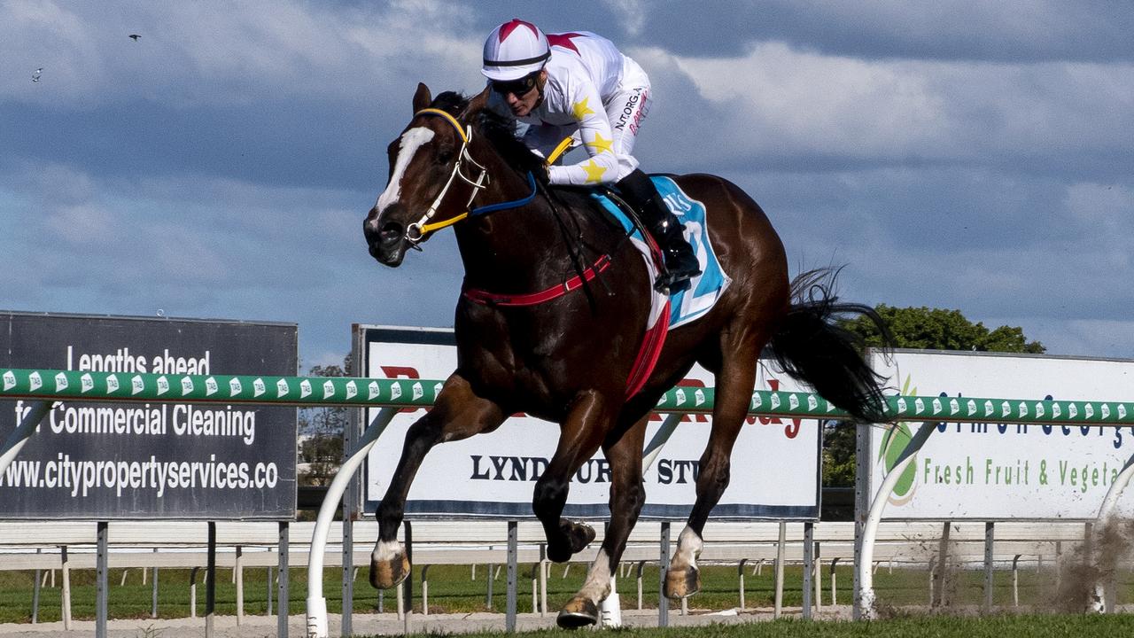 Written Beauty is Shayne O’Cass’s best bet. Picture: Greg Irvine/Magic Millions