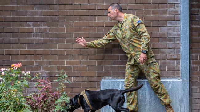 Australian Army soldier, Sapper John Murrell and his Explosive Detection Dog Elvis from 2nd Combat Engineer Regiment searches for explosives residue during a combined training exercise with the Queensland Police Service. PICTURE: Sgt. W Guthrie, Commonwealth of Australia, Dept. of Defence