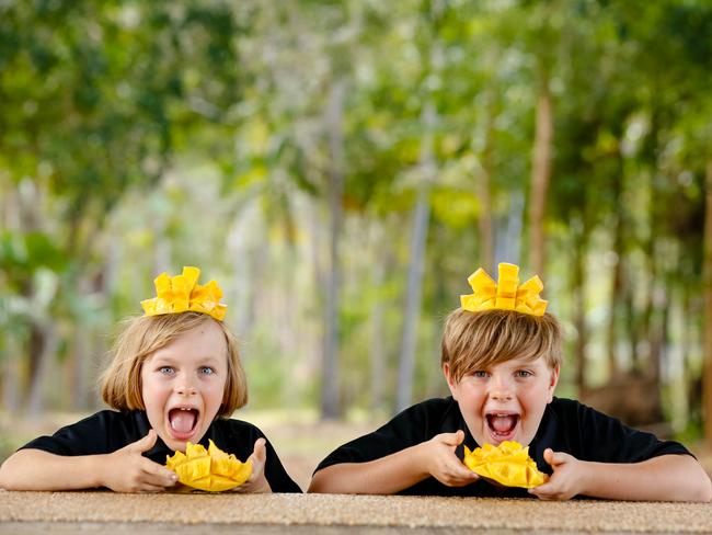 Rural kids Ruby 6 and Sam 8 Jenkins getting ready for the Mango Madness Festival.Picture GLENN CAMPBELL