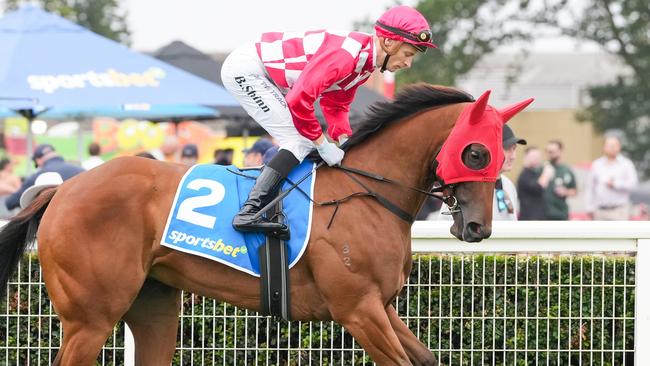 Miss Celine on the way to the barriers prior to the running of  the Sportsbet Blue Diamond Prelude (F) at Caulfield Racecourse on February 08, 2025 in Caulfield, Australia. (Photo by George Sal/Racing Photos via Getty Images)