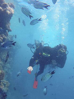 Shooting underwater shots in the middle of the day provides the best visibility. Picture: Mark Fitz.