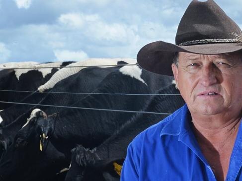 Mary Valley businessman and dairy farmer Selwyn John Cochrane was fined for animal cruelty.