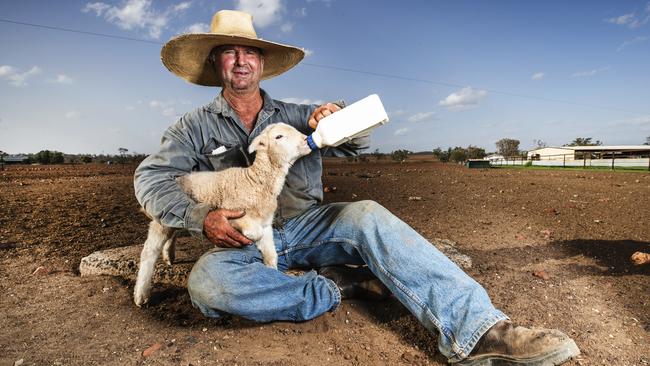 HOLD SEE COURIER MAIL PIC DESKWestern Queensland Grazier Will Roberts bottle feeding one of his poddy lambs on his drought hit property north east of Charleville. 'Every drought breaks but its a farmers job to be absolutely ready when it does', Will takes a positive and proactive approach to surviving the drought, cutting his stock back to a high quality core as well as making sure his 80,000 acre property is prepared to make the most of every drop of rain that comes Photo Lachie Millard