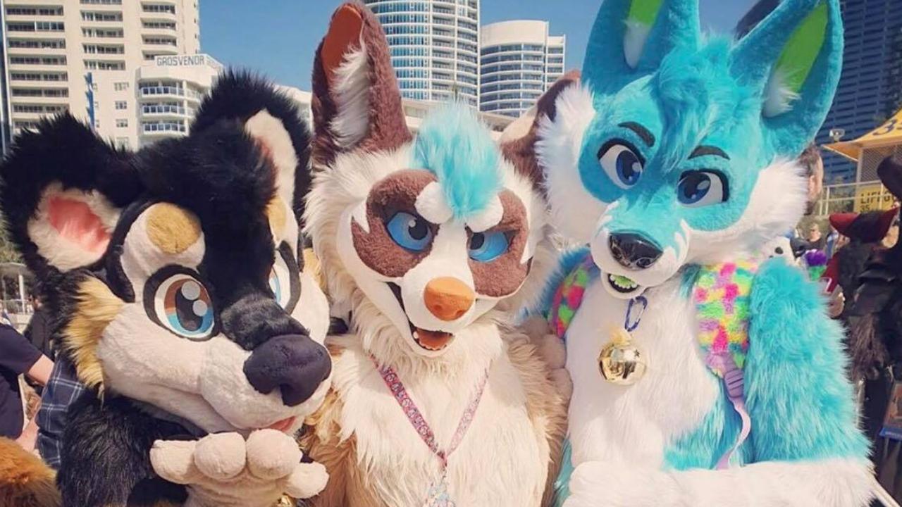 Furries: Furry fandom takes over Surfers Paradise for convention | The