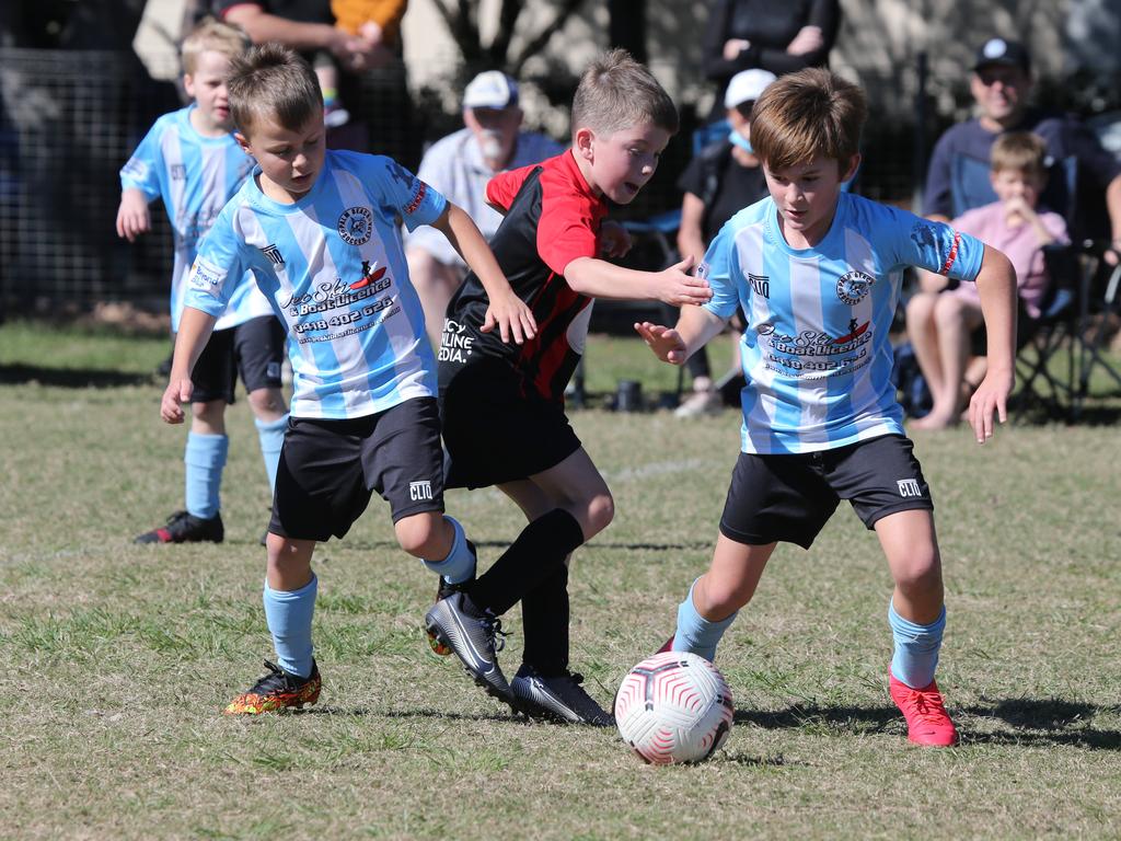 50+ Pictures: Junior Football Burleigh v Palm Beach | Gold Coast Bulletin