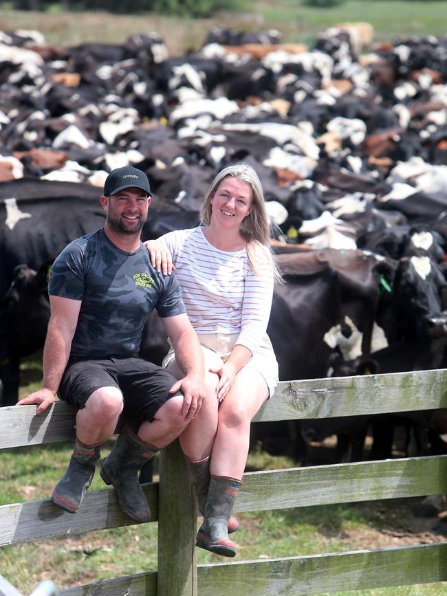 Brendan and Nicole with their herd at Maffra. Picture: Yuri Kouzmin