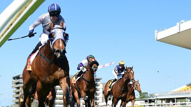 Hell is on a four-race winning run. Picture: Grant Peters/Trackside Photography