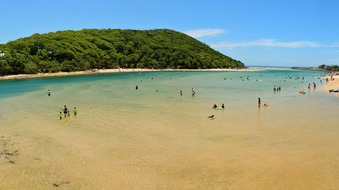 are dogs allowed at tallebudgera creek