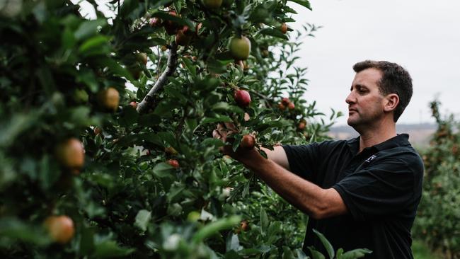 Plenty Cider owner Adam D'Arcy was a winemaker before deciding to make cider. Picture: Supplied