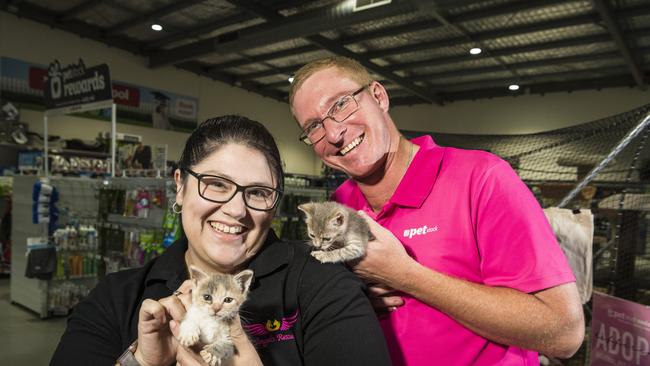 Emma Gambin of Angels Rescue with PetStock Toowoomba store manager Brad Wingett and kittens London and Paris prepare for pet adoption day, Monday, March 1, 2021. Picture: Kevin Farmer