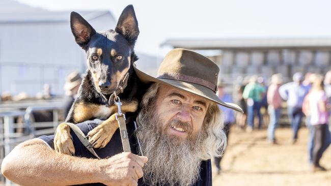 Warren Wise from Benambra looking to buy about 35 weaners with Sadie the kelpie.