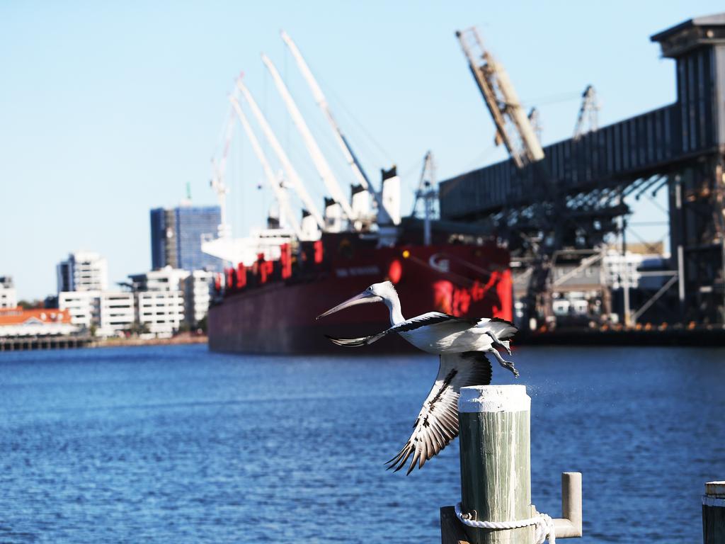 Calls have ignited for the Port of Newcastle to become a container port. Picture: Peter Lorimer.