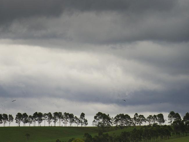 News Corp - A belt of wet weather / rain approaches Claymore in NSW Australia - photograph taken 11th December 2014