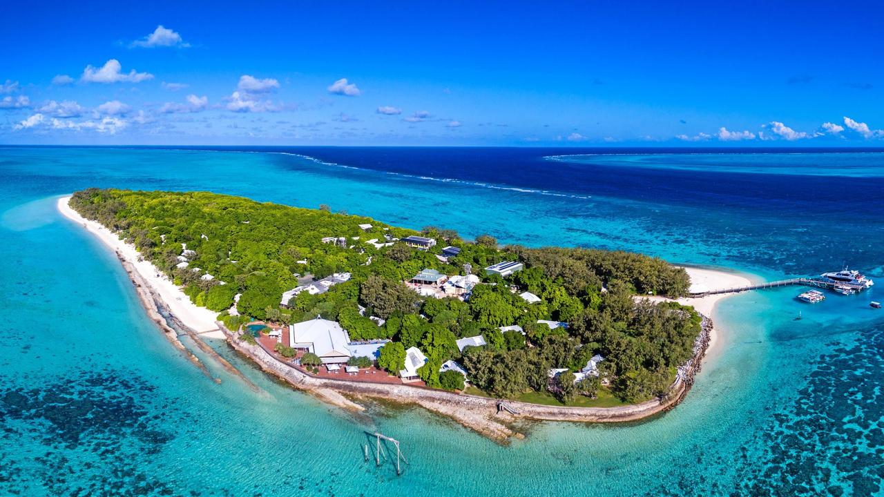 Heron Island: David Attenborough Blue Planet Live | The Courier Mail