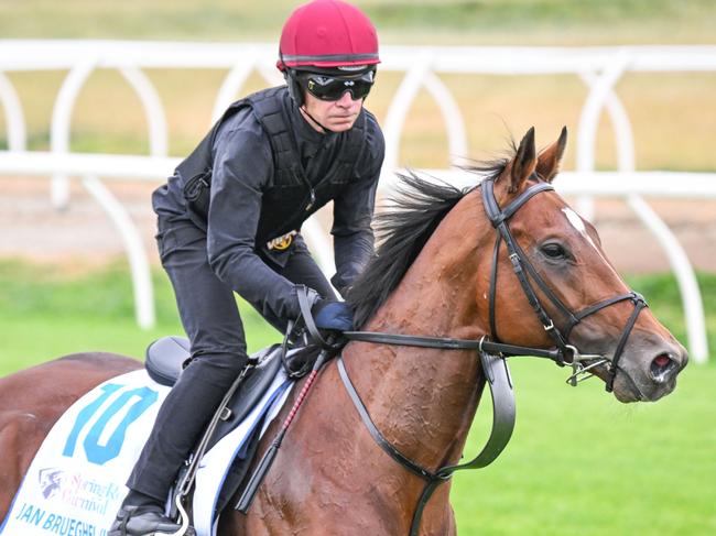 The Aidan O?Brien trained Jan Brueghel ridden by Dean Gallagher duringTrackwork at Werribee Racecourse on October 16, 2024 in Werribee, Australia. (Photo by Reg Ryan/Racing Photos via Getty Images)