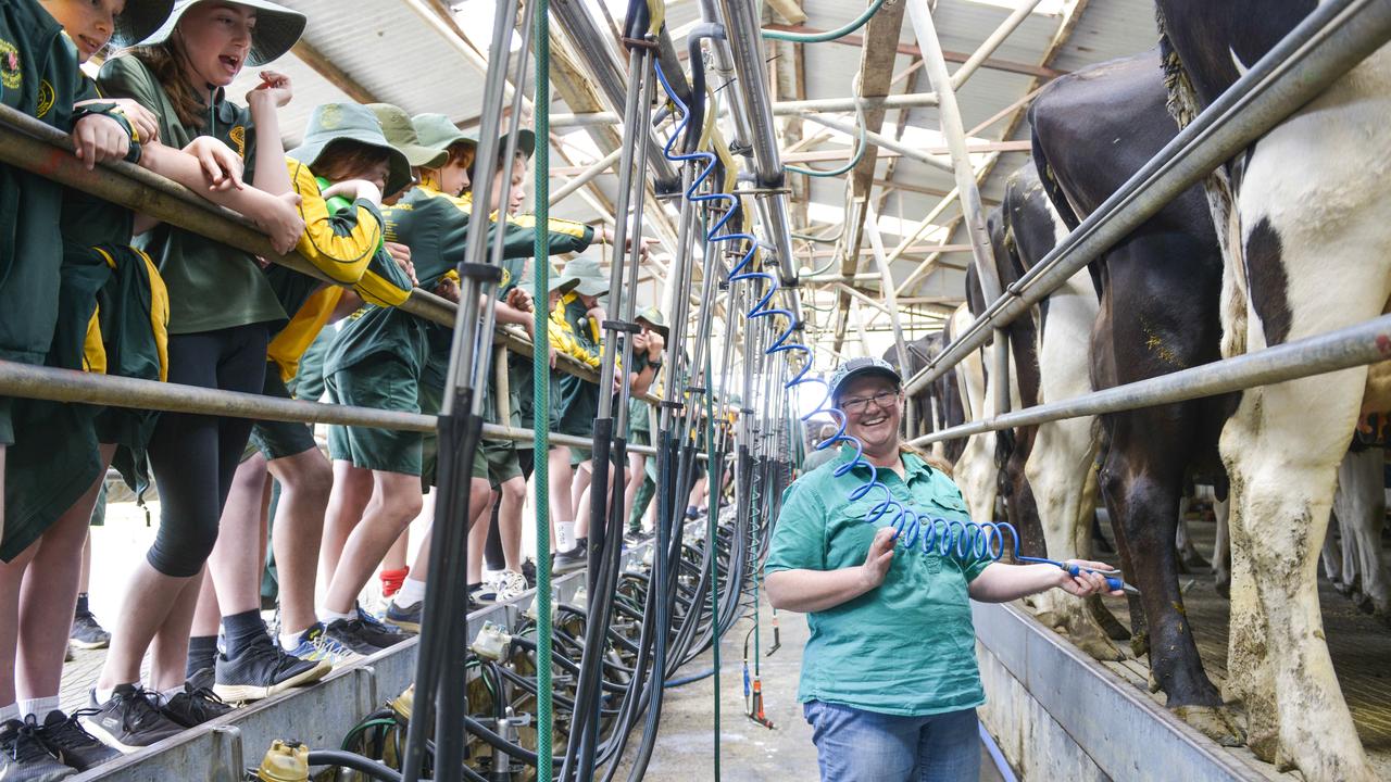 Cowes Primary School Students Visit Phillip Islands Sole Dairy Farm