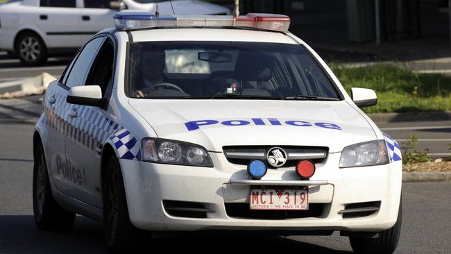 A carjacking in Braeside Park led to a police chase across the southeast today.