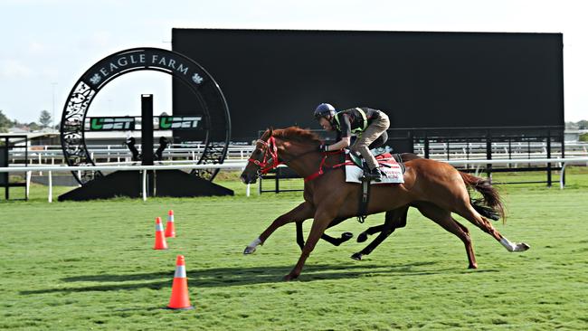 Trackwork on the Eagle Farm track back in December. Picture: Annette Dew