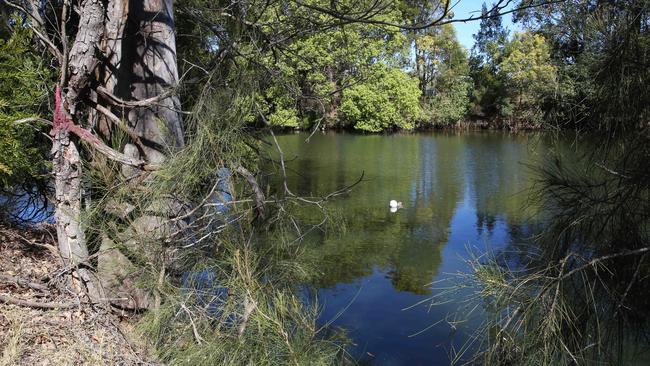 Site of fatal car accident last night on River Rd, Wyong, where a male driver left the road and plunged into the river in 2017. Picture: Sue Graham